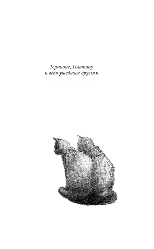 Sāvēlija dienas